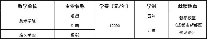 四川音樂學院2019年省外本科招生簡章