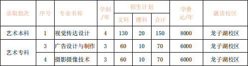 河南財政金融學院2020年河南省藝術類專業招生計劃